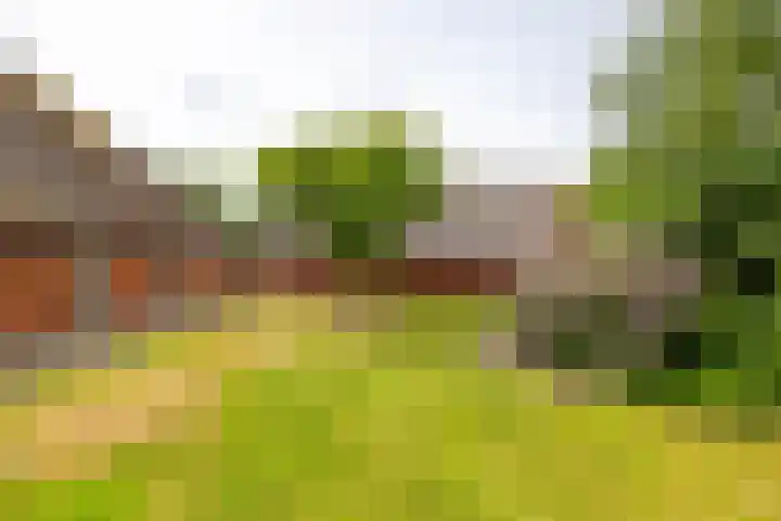 Spijkerboorsdijk 7 Annen thumbnail 50