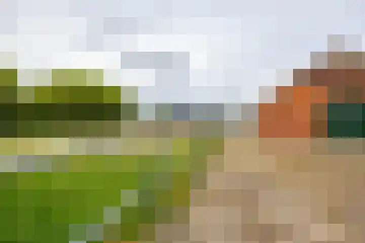 Spijkerboorsdijk 7 Annen thumbnail 52