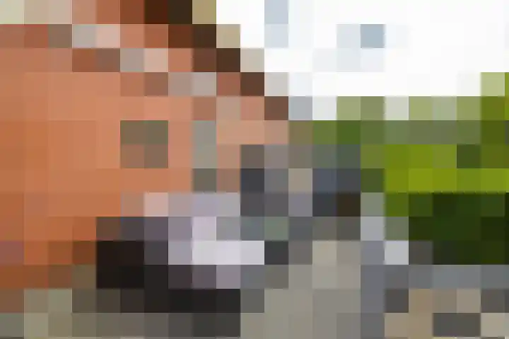 Spijkerboorsdijk 7 Annen thumbnail 55