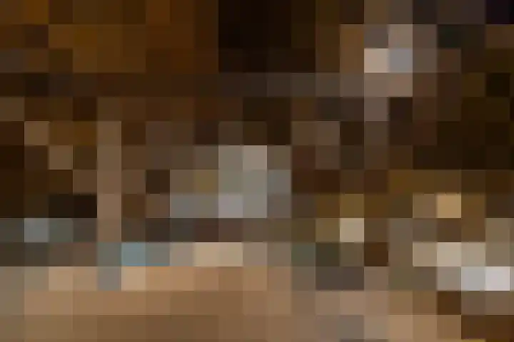 Spijkerboorsdijk 7 Annen thumbnail 57