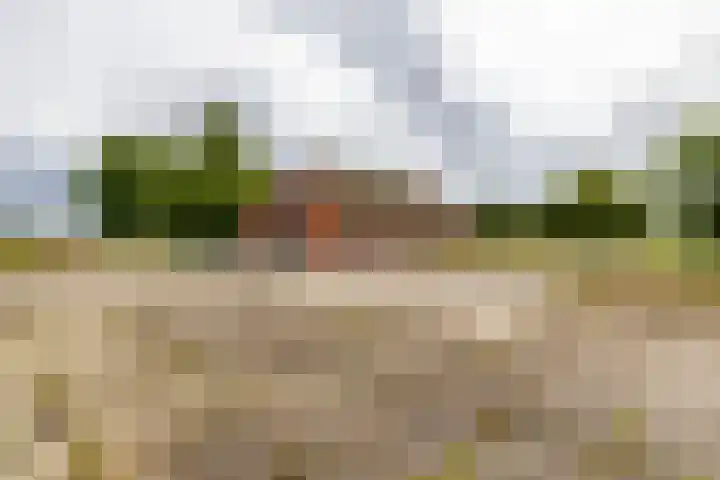 Spijkerboorsdijk 7 Annen thumbnail 59