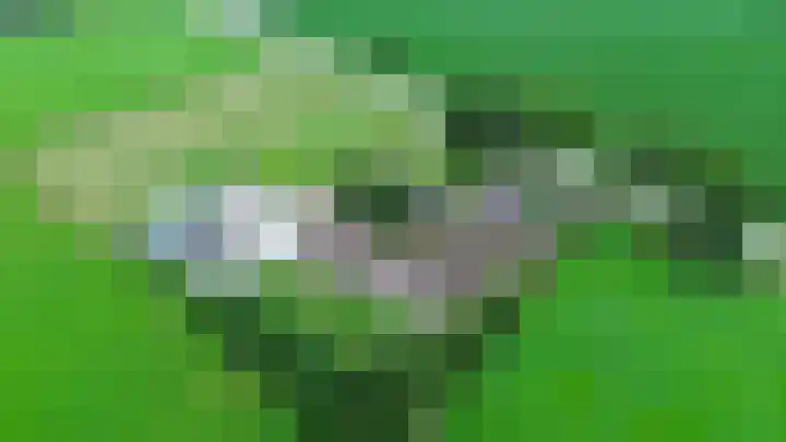 Spijkerboorsdijk 7 Annen thumbnail 6