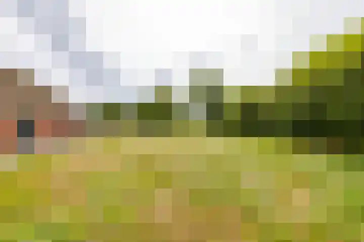 Spijkerboorsdijk 7 Annen thumbnail 60