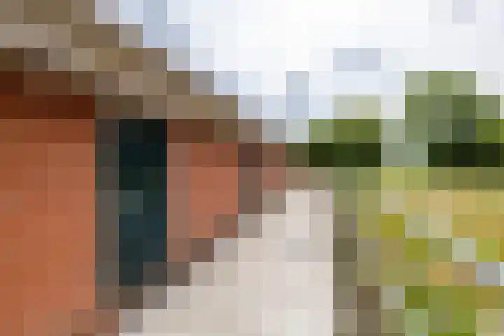 Spijkerboorsdijk 7 Annen thumbnail 61