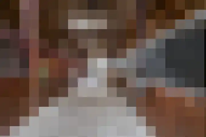 Spijkerboorsdijk 7 Annen thumbnail 62