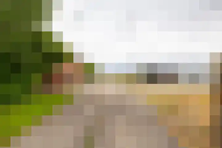Spijkerboorsdijk 7 Annen thumbnail 64