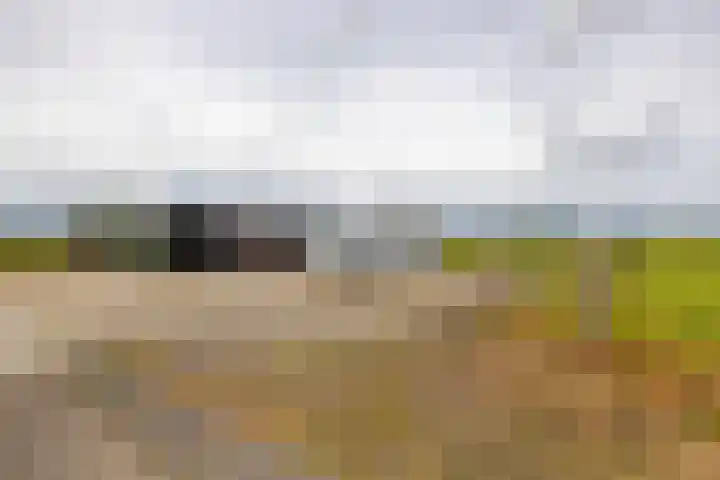 Spijkerboorsdijk 7 Annen thumbnail 65