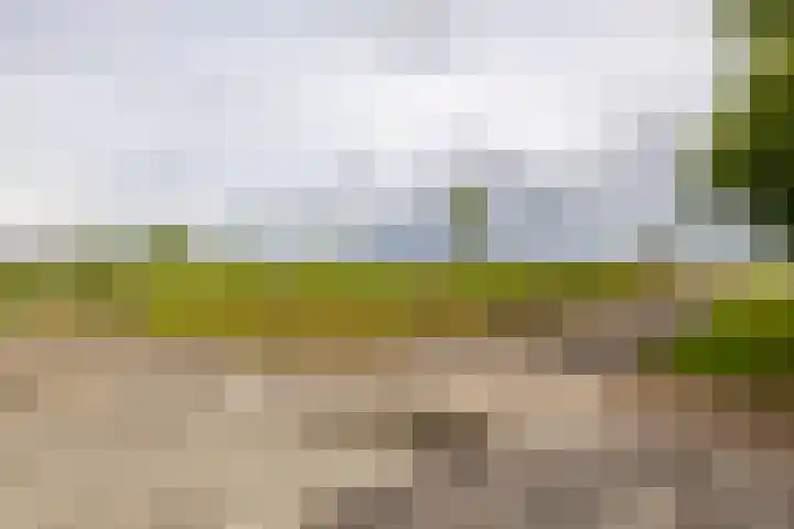 Spijkerboorsdijk 7 Annen thumbnail 68