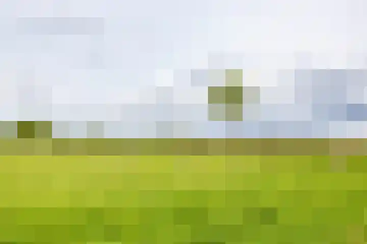 Spijkerboorsdijk 7 Annen thumbnail 69