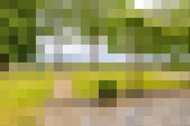 Spijkerboorsdijk 7 Annen thumbnail 7