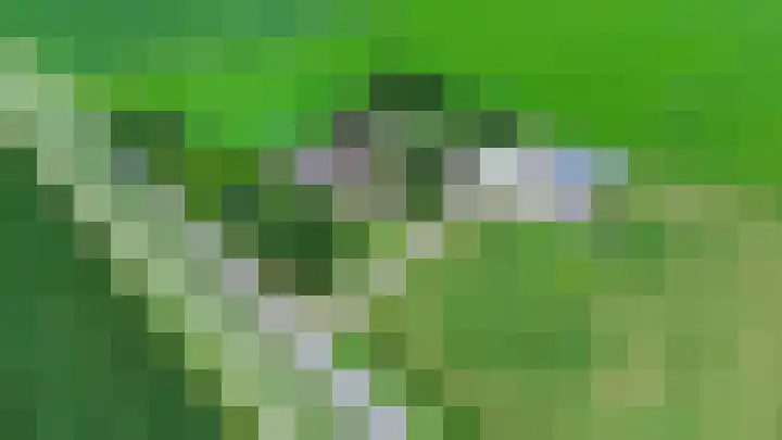 Spijkerboorsdijk 7 Annen thumbnail 71