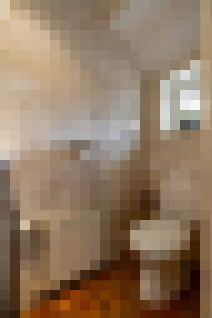 Spijkerboorsdijk 7 Annen thumbnail 9