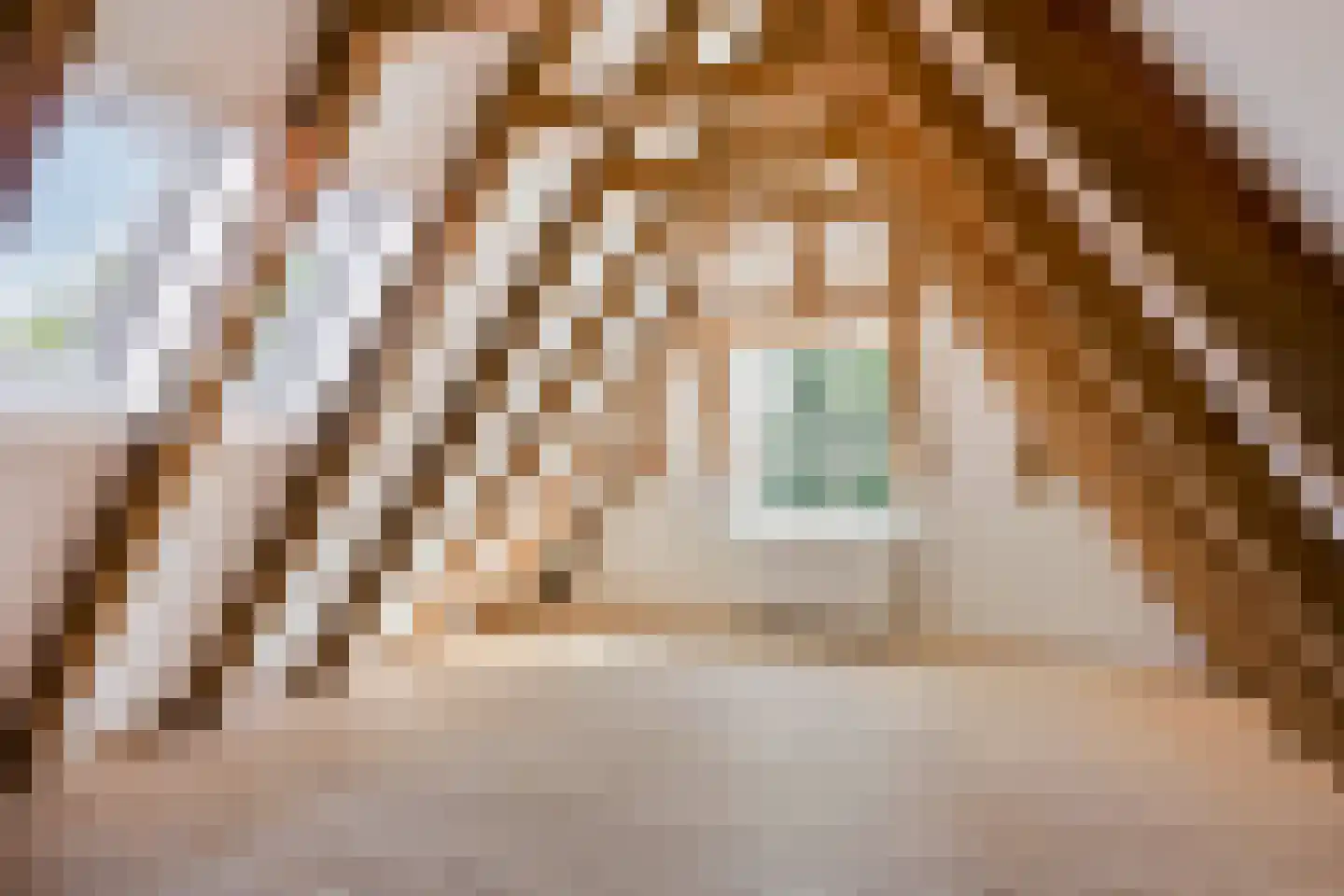 Spijkerboorsteeg 37 Deventer thumbnail 5