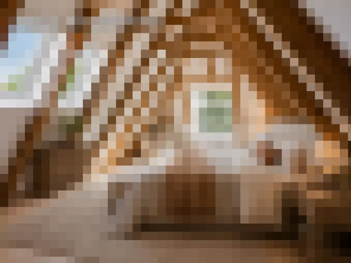 Spijkerboorsteeg 37 Deventer thumbnail 6