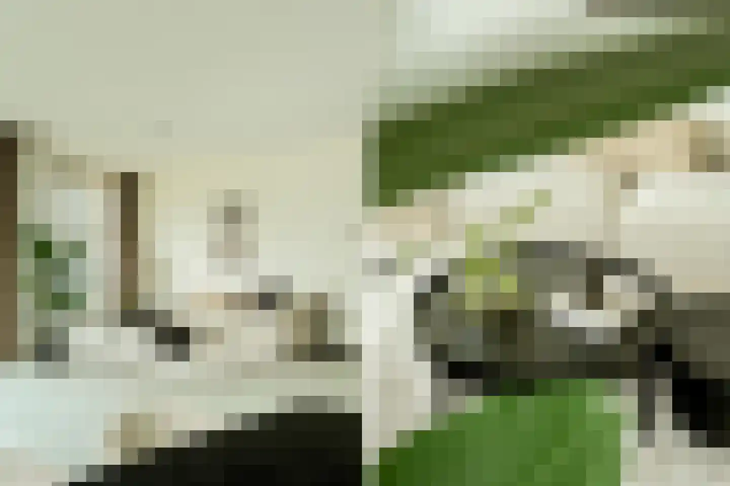 Spijkerboorweg 203 Haarlem thumbnail 11