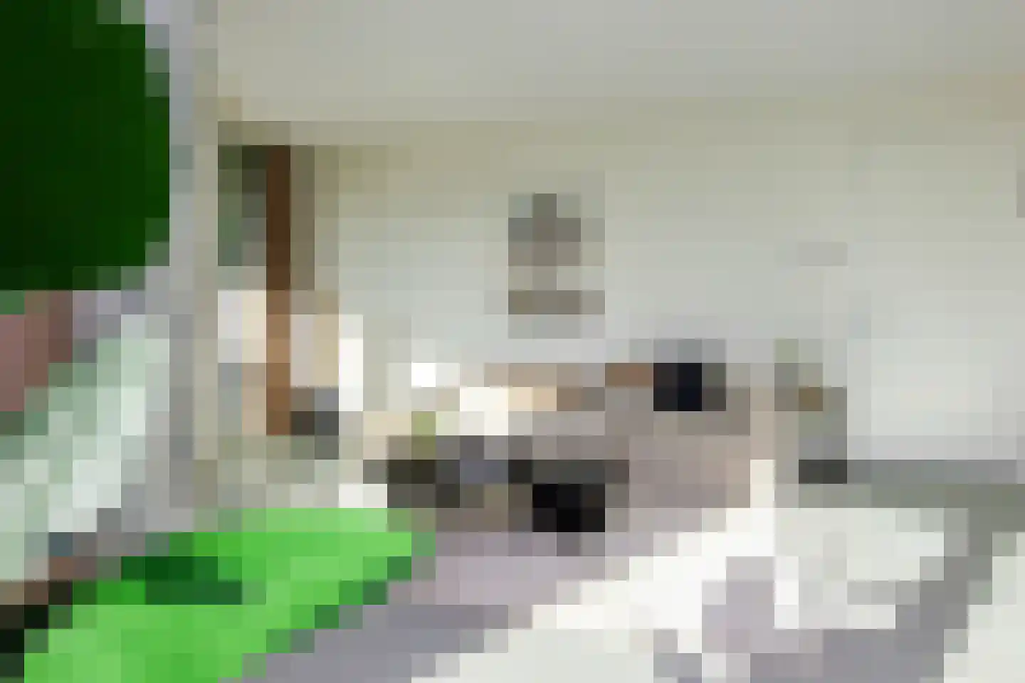 Spijkerboorweg 203 Haarlem thumbnail 15