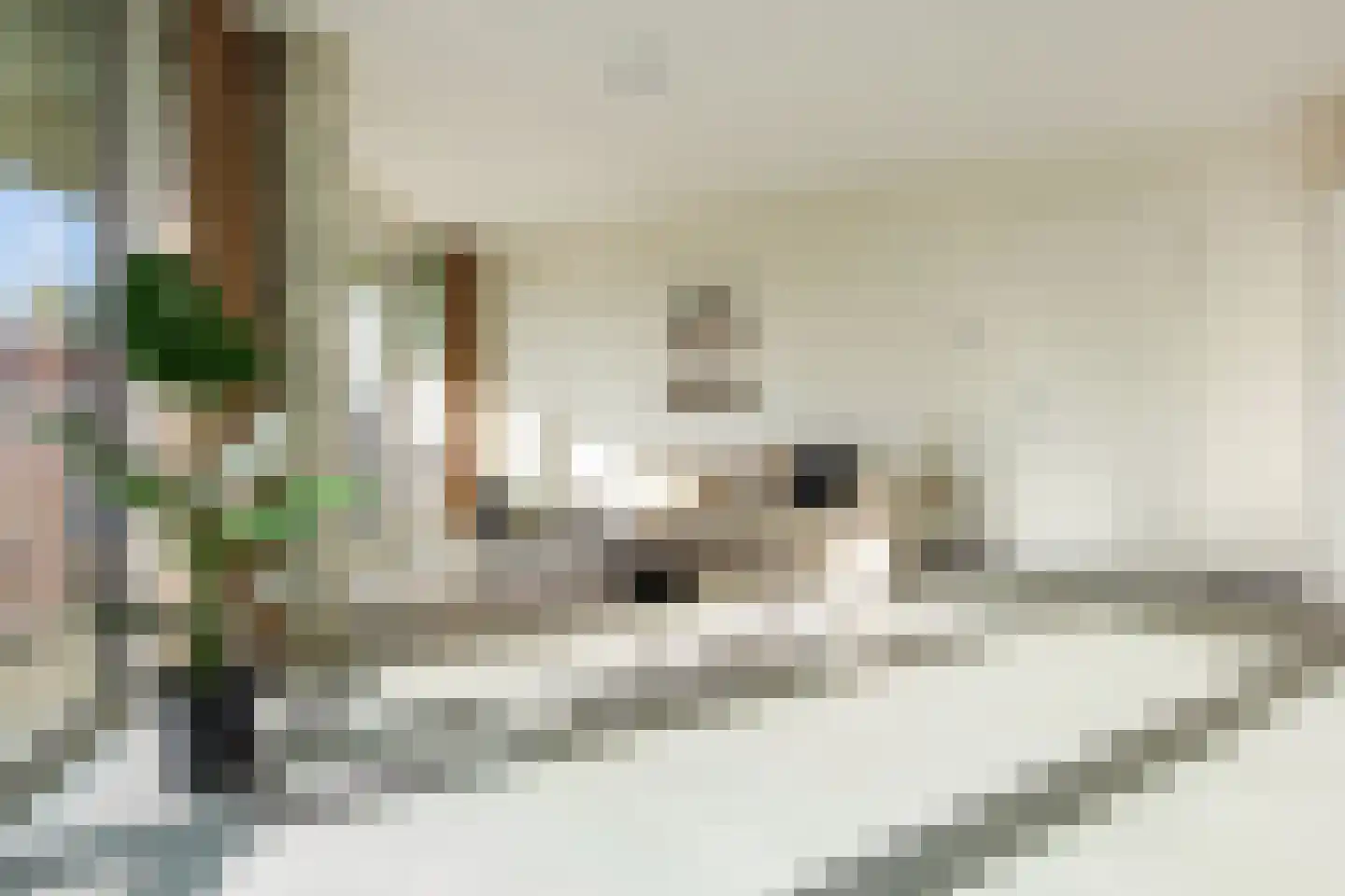 Spijkerboorweg 203 Haarlem thumbnail 16