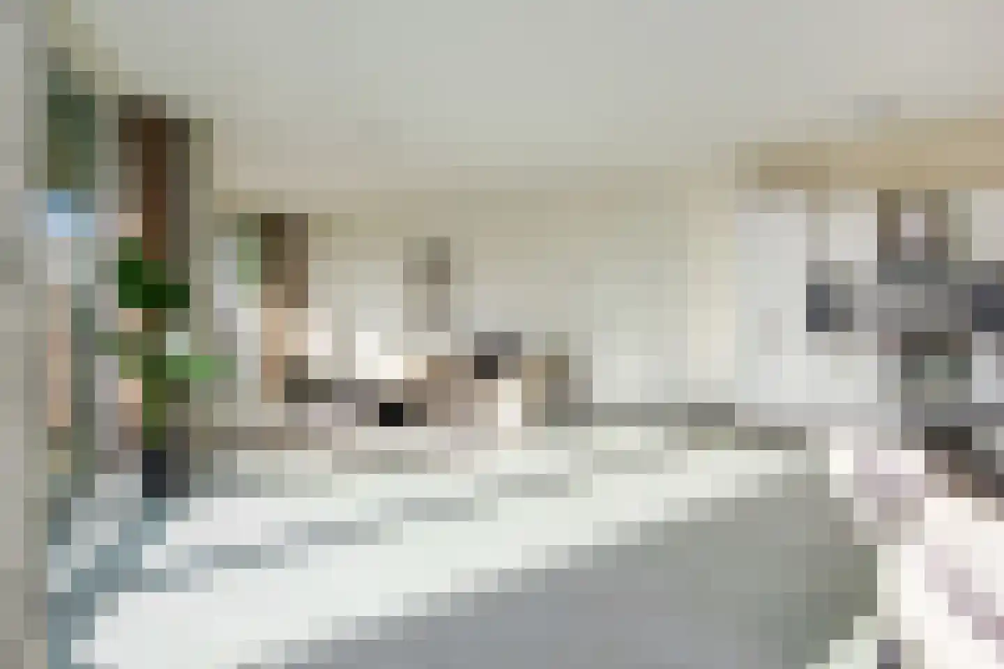 Spijkerboorweg 203 Haarlem thumbnail 17
