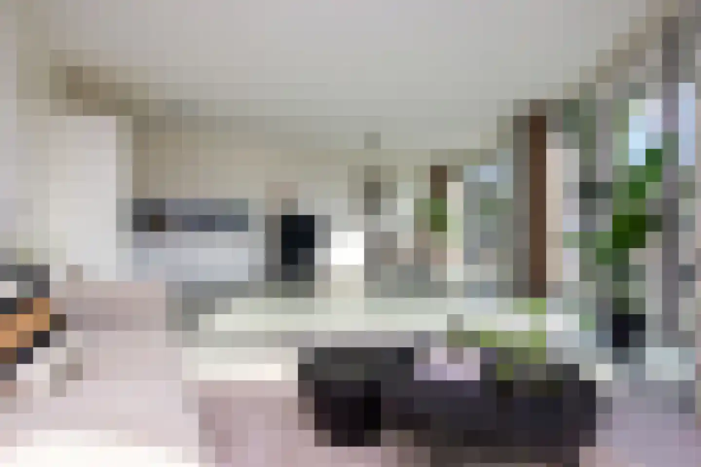 Spijkerboorweg 203 Haarlem thumbnail 20