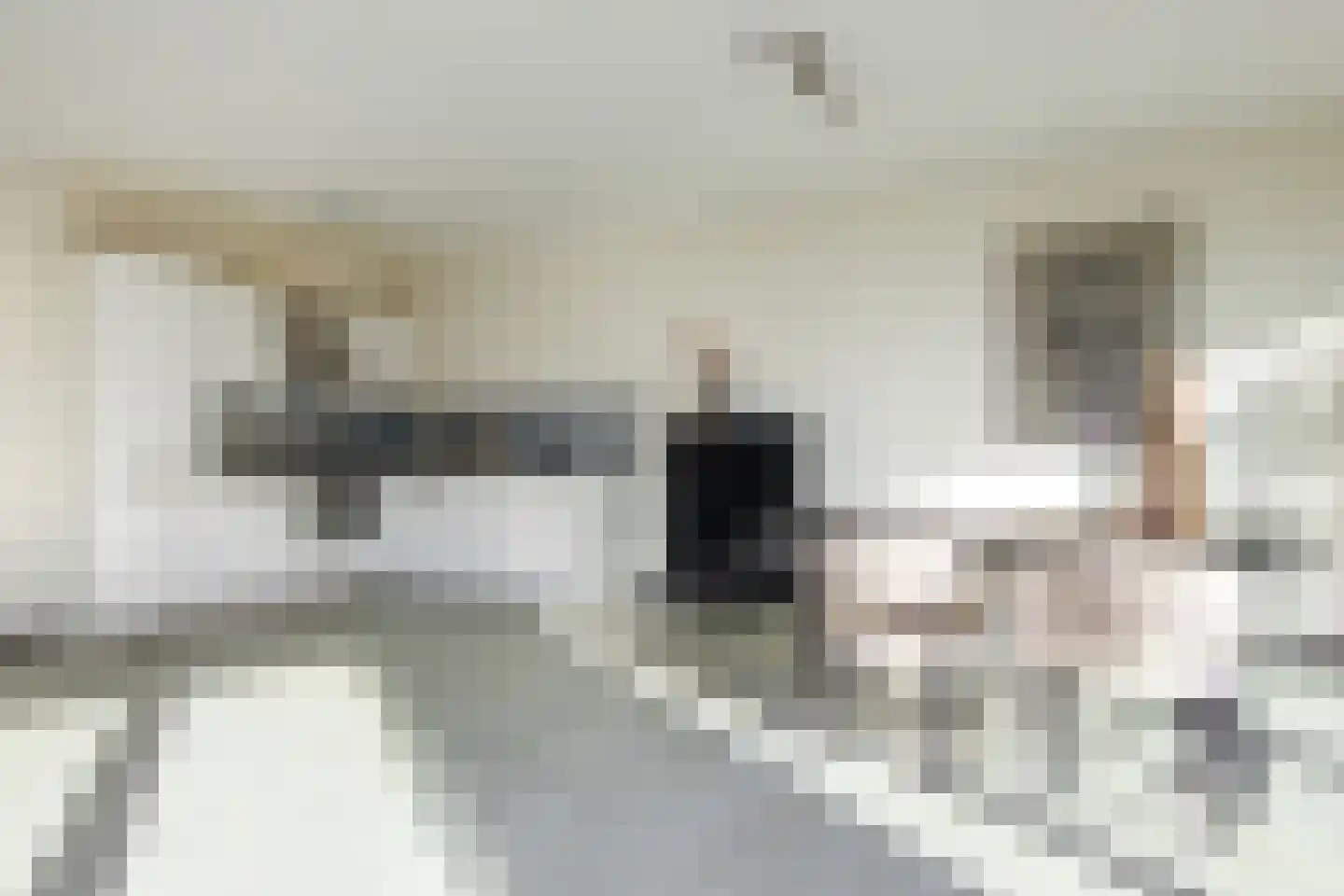 Spijkerboorweg 203 Haarlem thumbnail 22