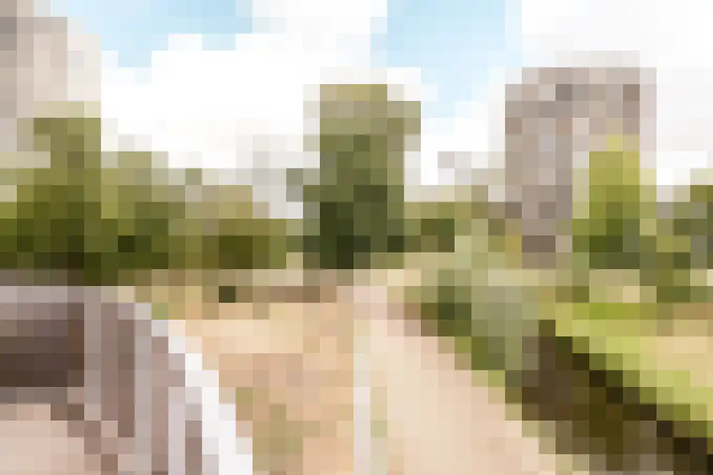 Spijkerboorweg 203 Haarlem thumbnail 28