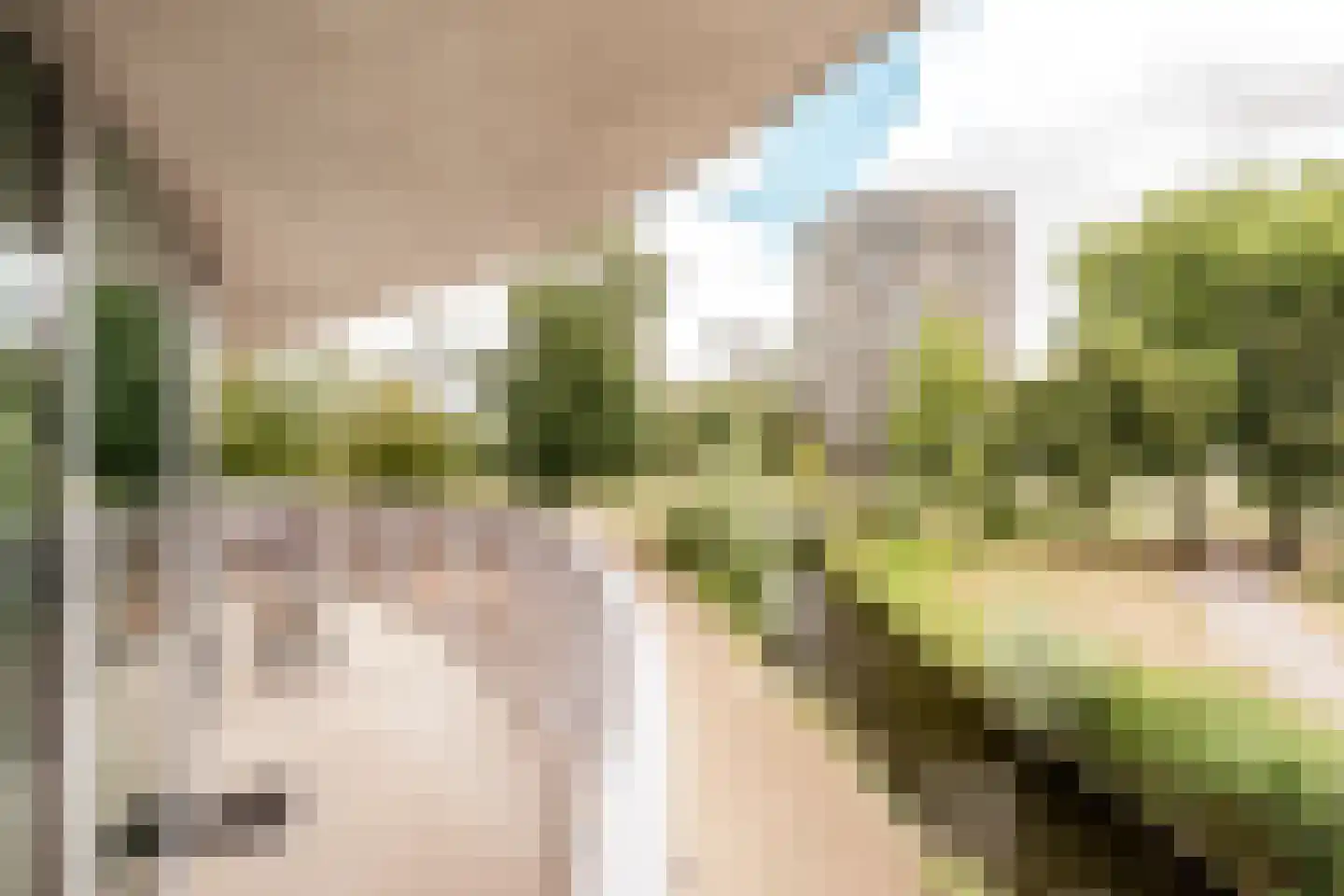 Spijkerboorweg 203 Haarlem thumbnail 29