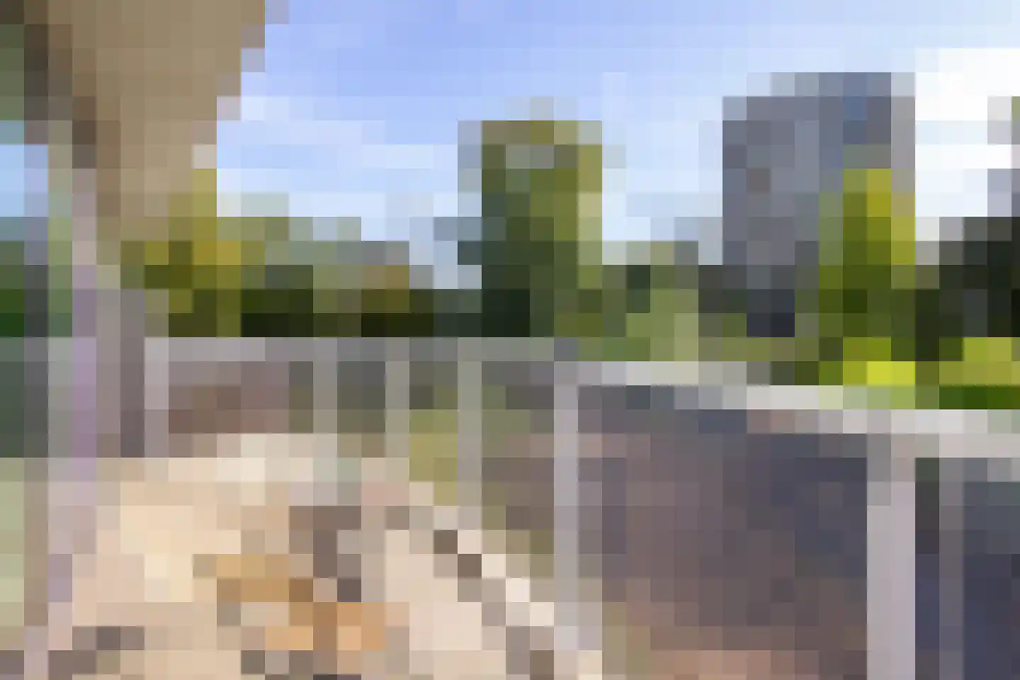 Spijkerboorweg 203 Haarlem thumbnail 34