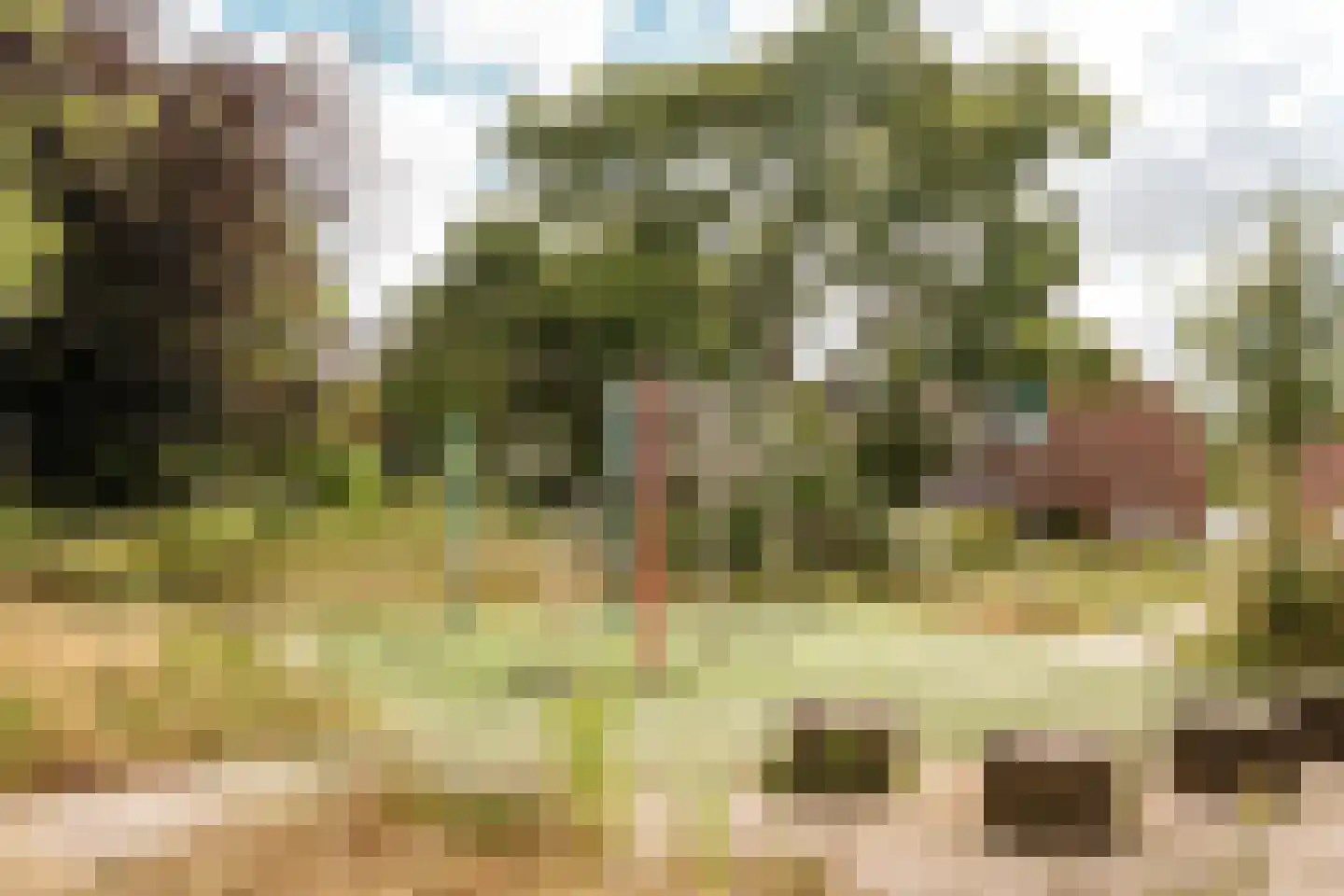 Spijkerboorweg 203 Haarlem thumbnail 39
