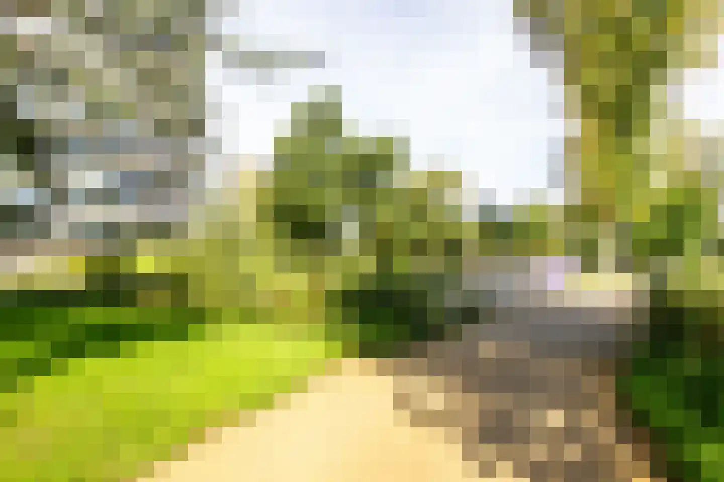 Spijkerboorweg 203 Haarlem thumbnail 56