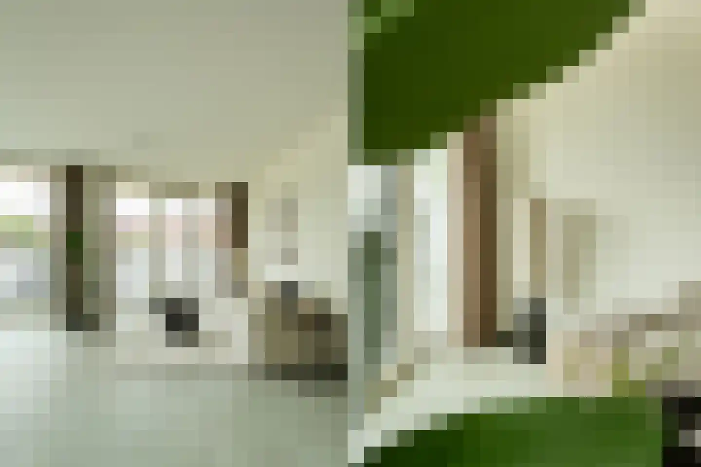 Spijkerboorweg 203 Haarlem thumbnail 9