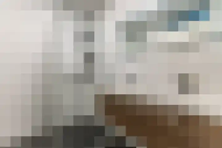 Spijkerboorweg 213 Haarlem thumbnail 17
