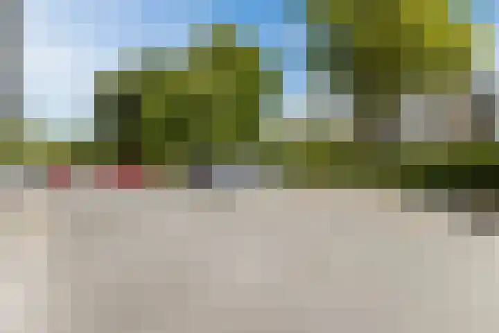 Spijkerboorweg 213 Haarlem thumbnail 34
