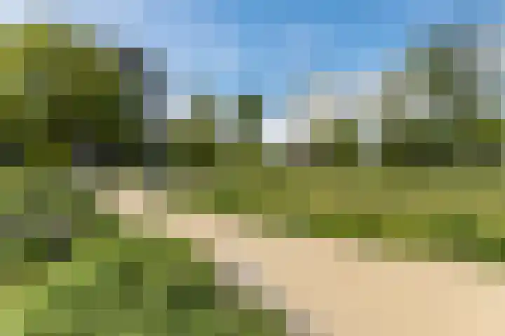 Spijkerboorweg 213 Haarlem thumbnail 4