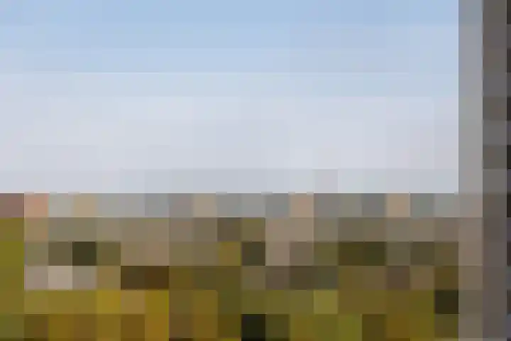 Spijkerboorweg 241 Haarlem thumbnail 18