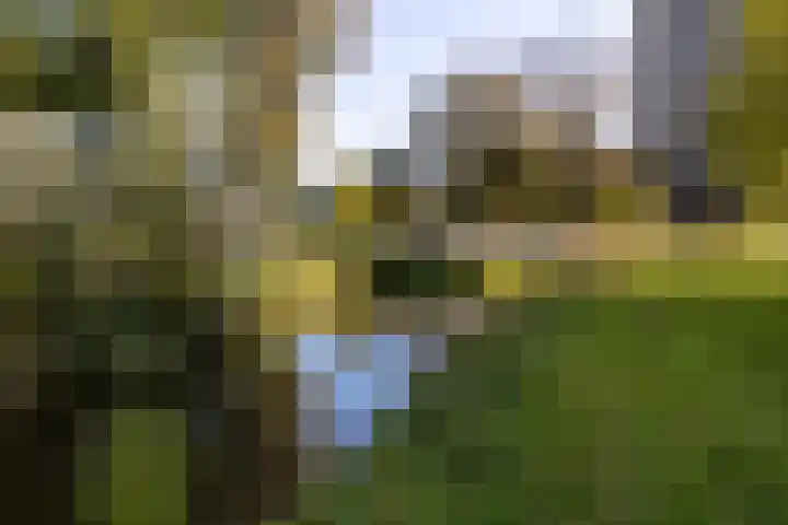 Spijkerboorweg 241 Haarlem thumbnail 33