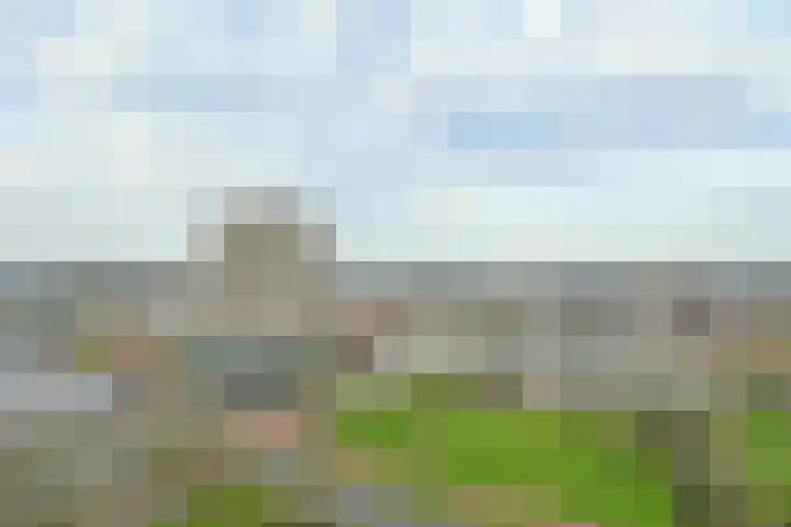 Spijkerboorweg 245 Haarlem thumbnail 33