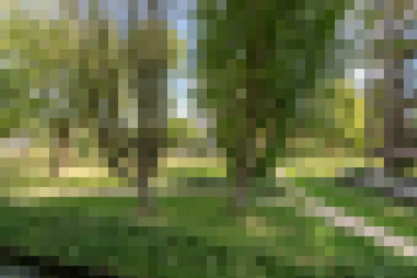 Spijkerboorweg 308 Haarlem thumbnail 18