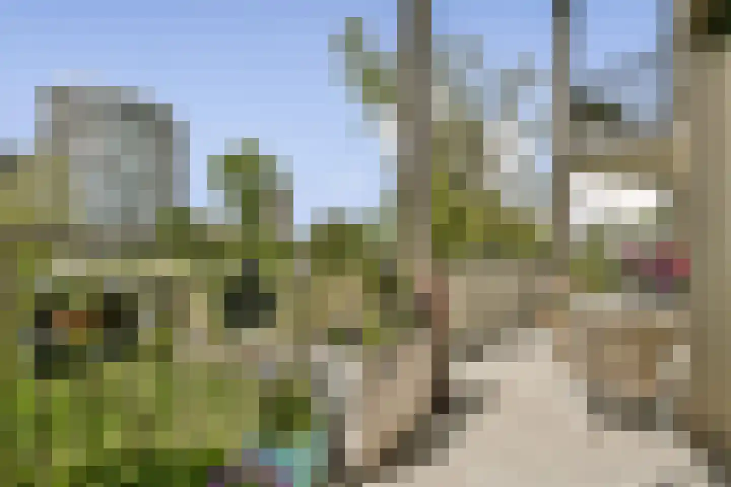 Spijkerboorweg 311 Haarlem thumbnail 8