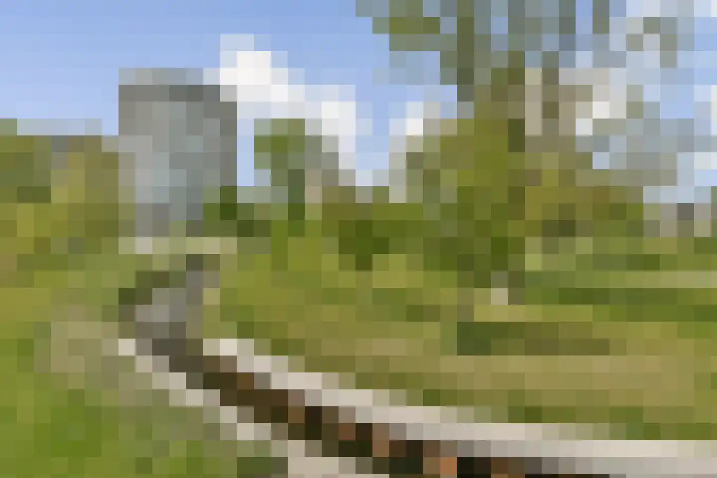 Spijkerboorweg 311 Haarlem thumbnail 9
