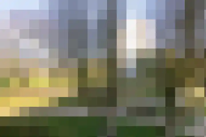 Spijkerboorweg 313 Haarlem thumbnail 28