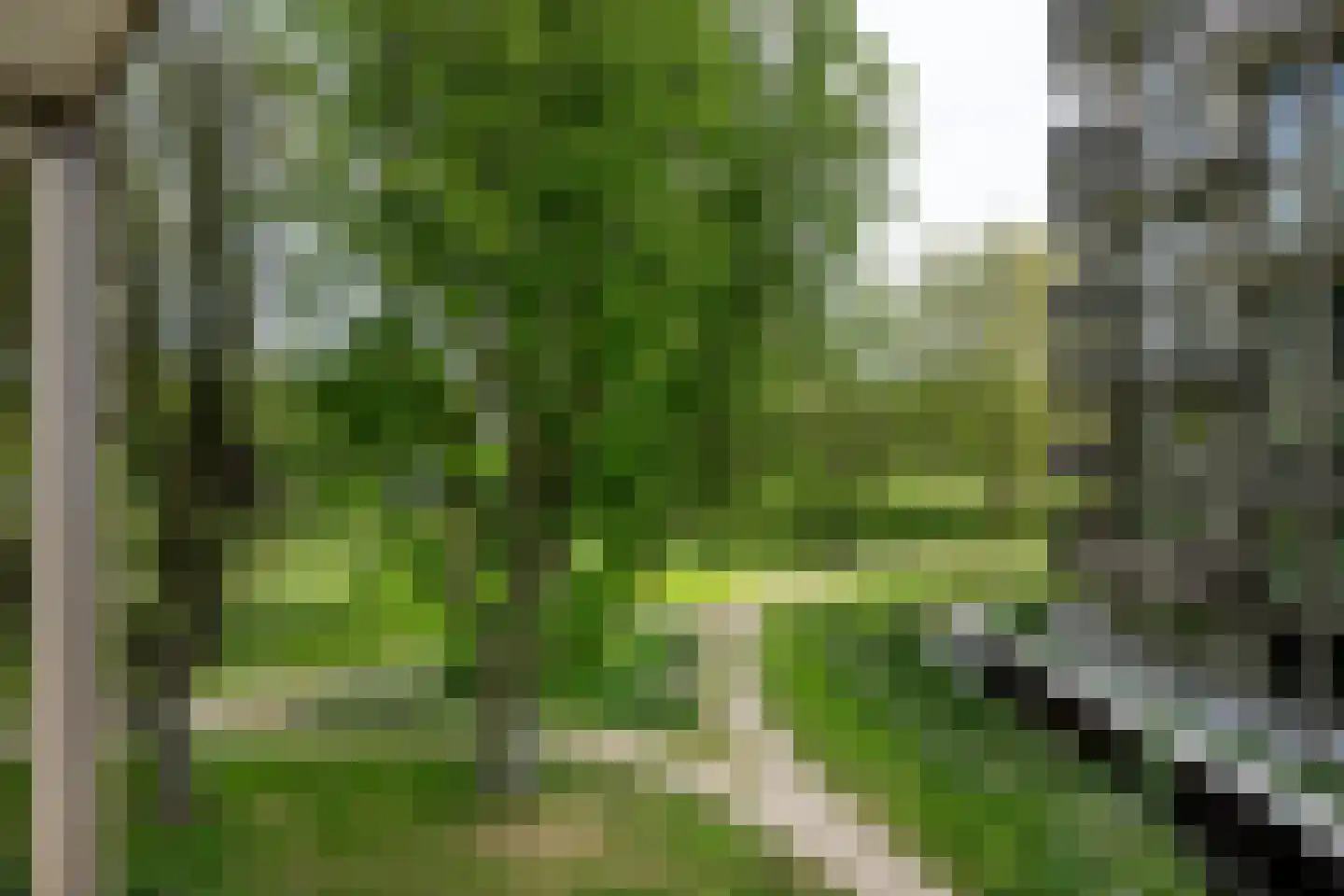 Spijkerboorweg 314 Haarlem thumbnail 18