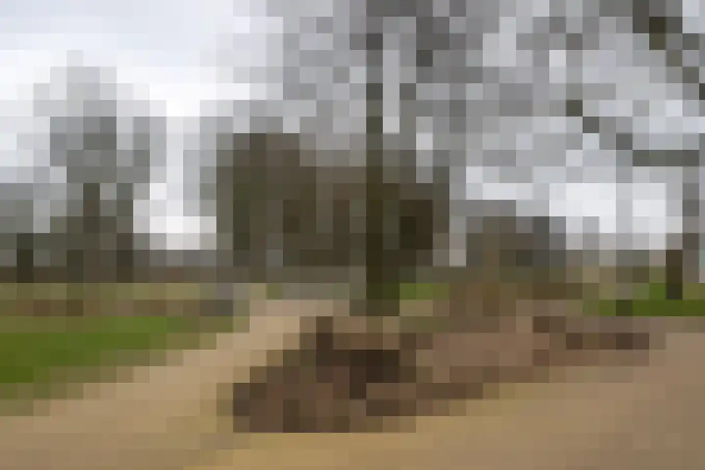 Spijkerboorweg 314 Haarlem thumbnail 22