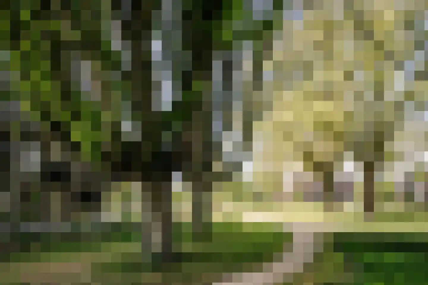 Spijkerboorweg 357 Haarlem thumbnail 41
