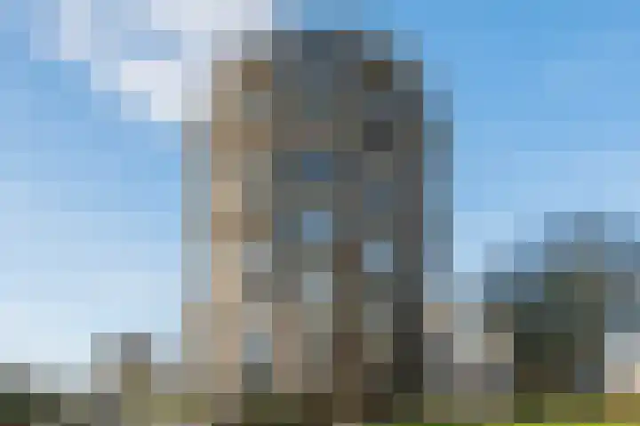 Spijkerboorweg 361 Haarlem thumbnail 33