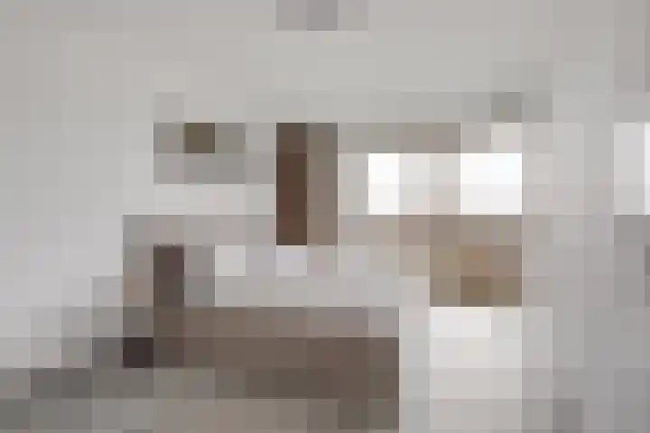 Spijkerboorweg 369 Haarlem thumbnail 11