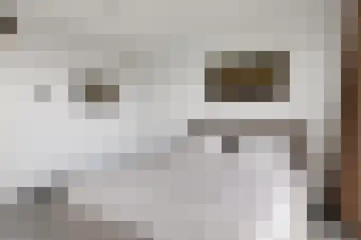 Spijkerboorweg 369 Haarlem thumbnail 12