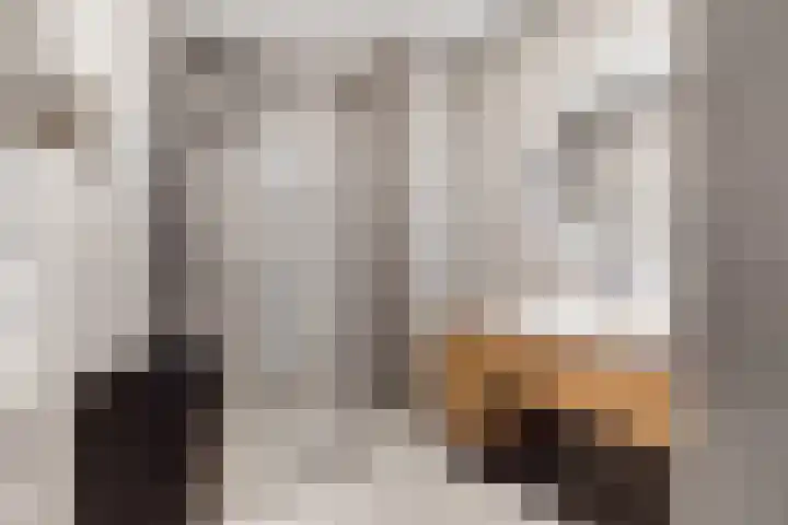 Spijkerboorweg 369 Haarlem thumbnail 13