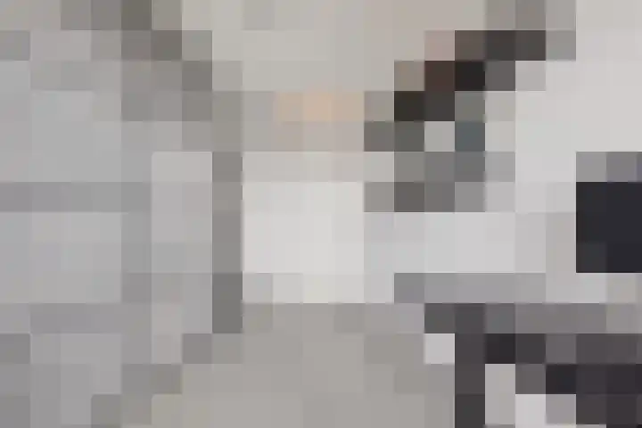 Spijkerboorweg 369 Haarlem thumbnail 17