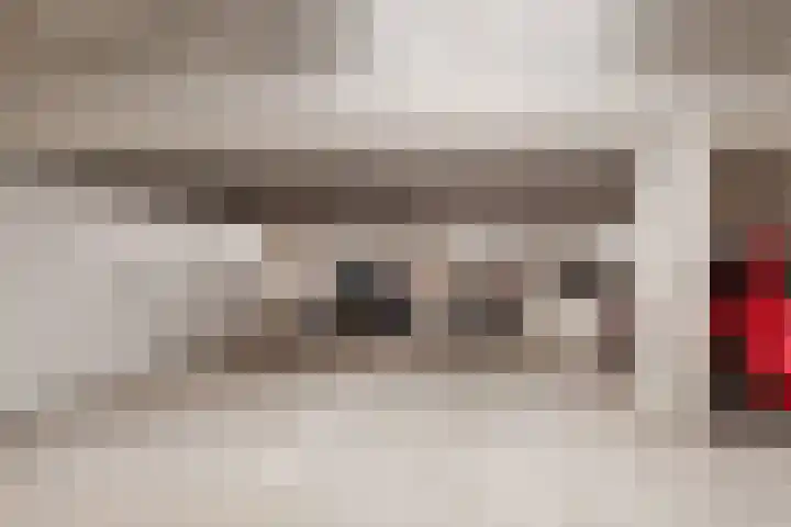 Spijkerboorweg 369 Haarlem thumbnail 18