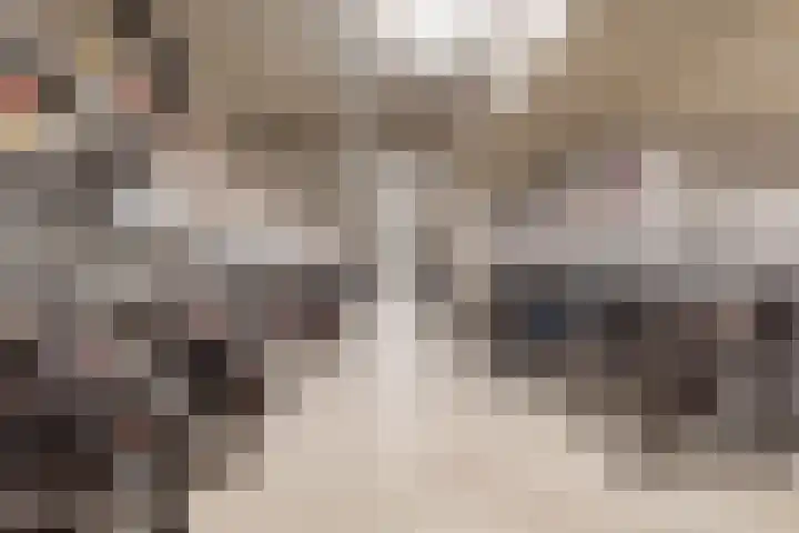 Spijkerboorweg 369 Haarlem thumbnail 19